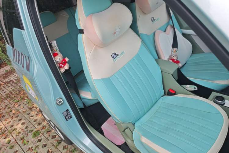 Used Geely Galaxy Panda 2025 210 km – Yuanqi Bear Right Front Seat