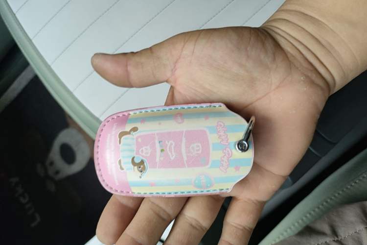 Used Geely Galaxy Panda 2025 210km Panda Rider Vehicle Key