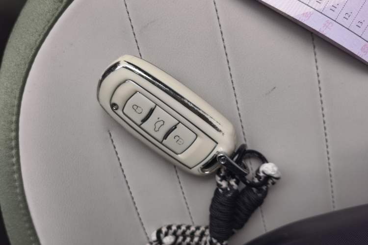 Used Geely Galaxy Panda 2025 210km Panda Rider Vehicle Key