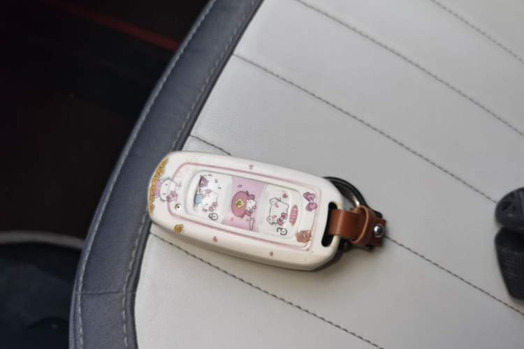 Used Geely Galaxy Panda 2025 210km Panda Kart Vehicle Key
