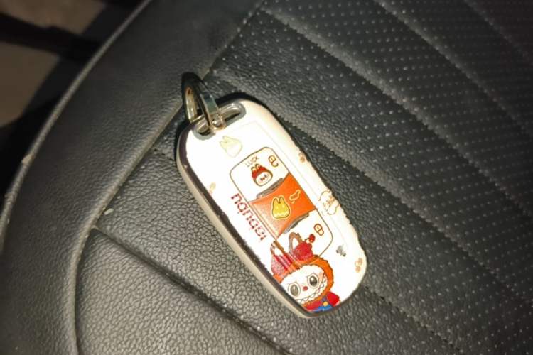 Used Geely Galaxy Panda 2025 210km Panda Rider Vehicle Key