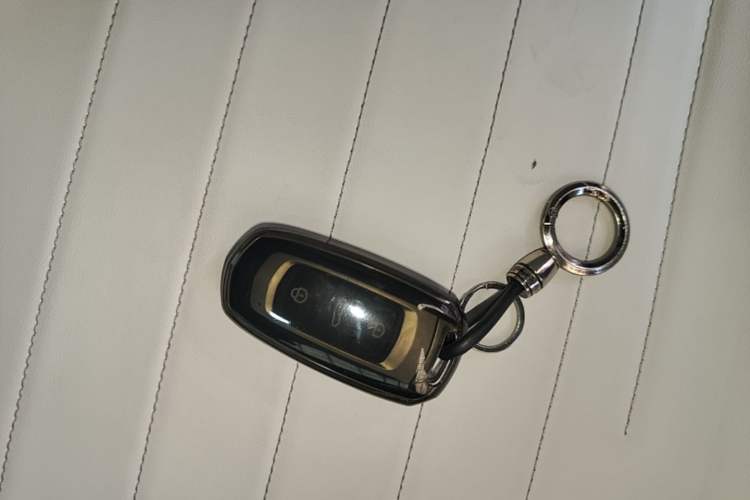 Used Geely Galaxy Panda 2025 210km Panda Kart Vehicle Key