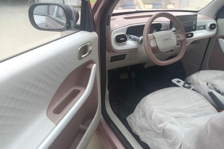 Used Geely Galaxy Panda 2025 210 km – Yuanqi Bear Driver Seat
