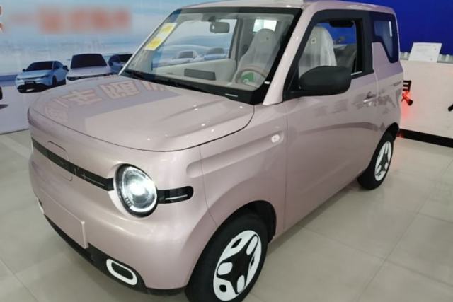 Used Geely Galaxy Panda 2025 210 km – Yuanqi Bear