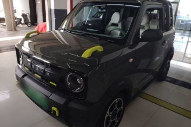 Used Geely Galaxy Panda 2025 210km Panda Rider