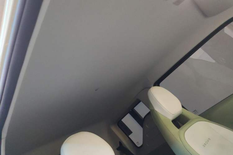 Used Geely Galaxy Panda 2025 210km Panda Rider Headliner