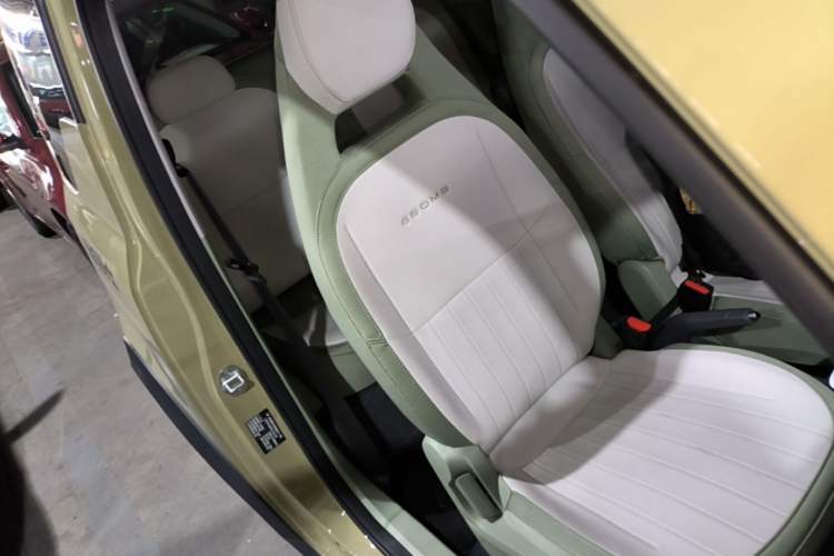 Used Geely Galaxy Panda 2025 210km Panda Rider Right Front Seat