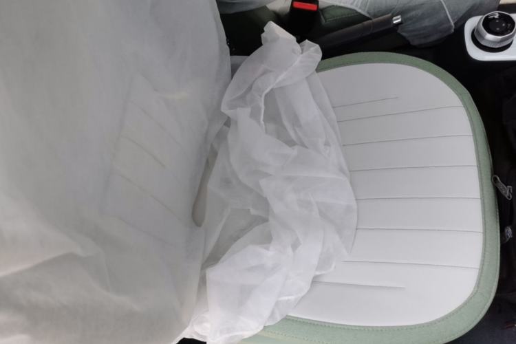 Used Geely Galaxy Panda 2025 210km Panda Rider Right Front Seat