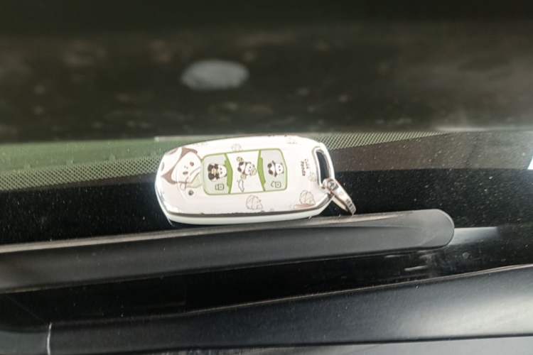 Used Geely Galaxy Panda 2025 210km Panda Rider Vehicle Key