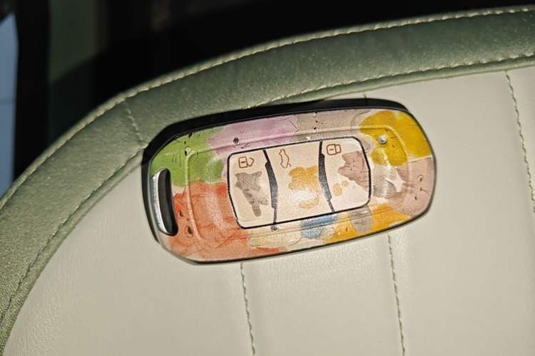 Used Geely Galaxy Panda 2025 210km Panda Rider Vehicle Key
