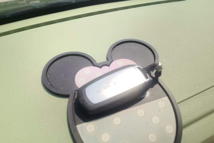 Used Geely Galaxy Panda 2025 210km Panda Rider Vehicle Key