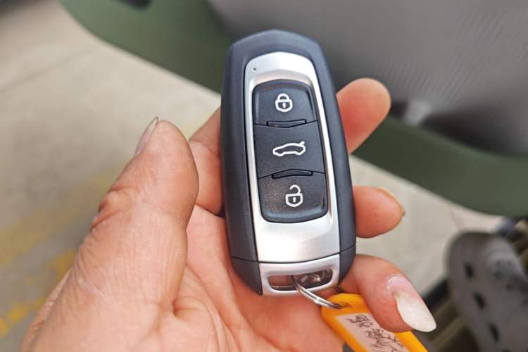 Used Geely Galaxy Panda 2025 210km Panda Rider Vehicle Key