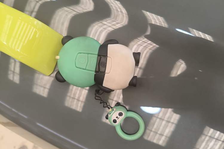 Used Geely Galaxy Panda 2025 210km Panda Rider Vehicle Key