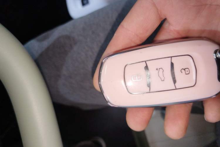 Used Geely Galaxy Panda 2025 210km Panda Rider Vehicle Key