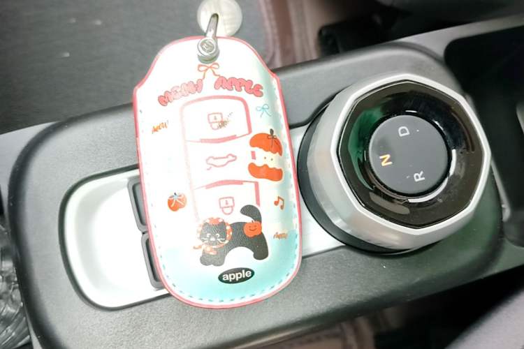 Used Geely Galaxy Panda 2025 210km Panda Kart Vehicle Key