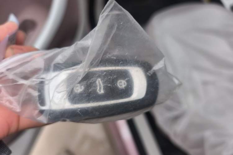 Used Geely Galaxy Panda 2025 210 km – Yuanqi Bear Interior 1