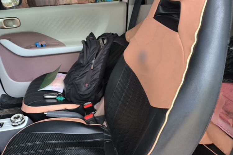 Used Geely Galaxy Panda 2025 210 km – Yuanqi Bear Left Front Seat