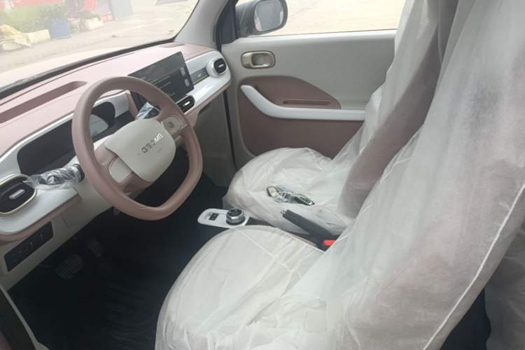 Used Geely Galaxy Panda 2025 210 km – Yuanqi Bear Left Front Seat