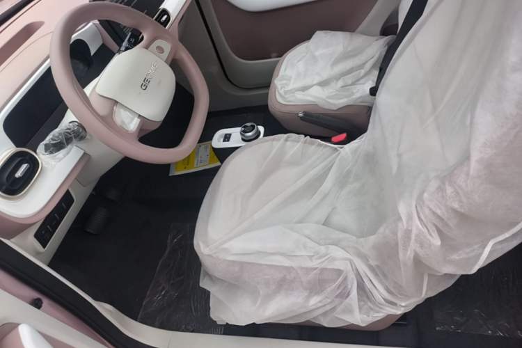 Used Geely Galaxy Panda 2025 210 km – Yuanqi Bear Left Front Seat