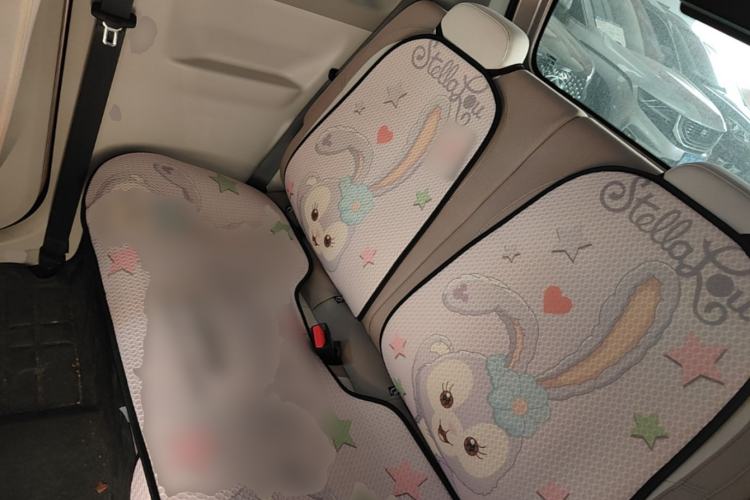 Used Geely Galaxy Panda 2025 210 km – Yuanqi Bear Left Rear Seat