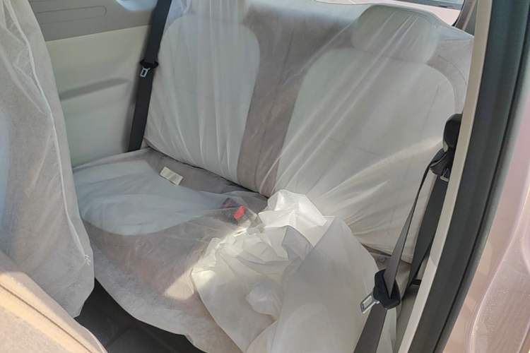 Used Geely Galaxy Panda 2025 210 km – Yuanqi Bear Left Rear Seat