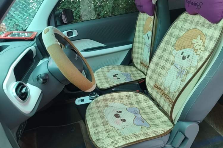 Used Geely Galaxy Panda 2025 210km Panda Rider Left Front Seat