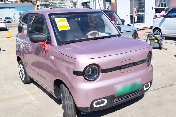Used Geely Galaxy Panda  Exterior 1