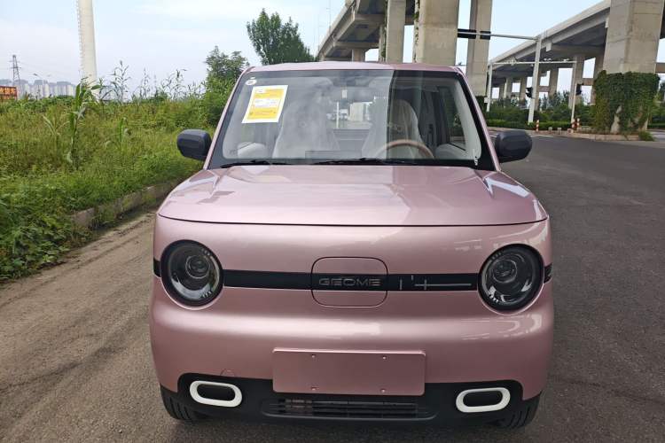 Used Geely Galaxy Panda 2025 210 km – Yuanqi Bear Exterior 1