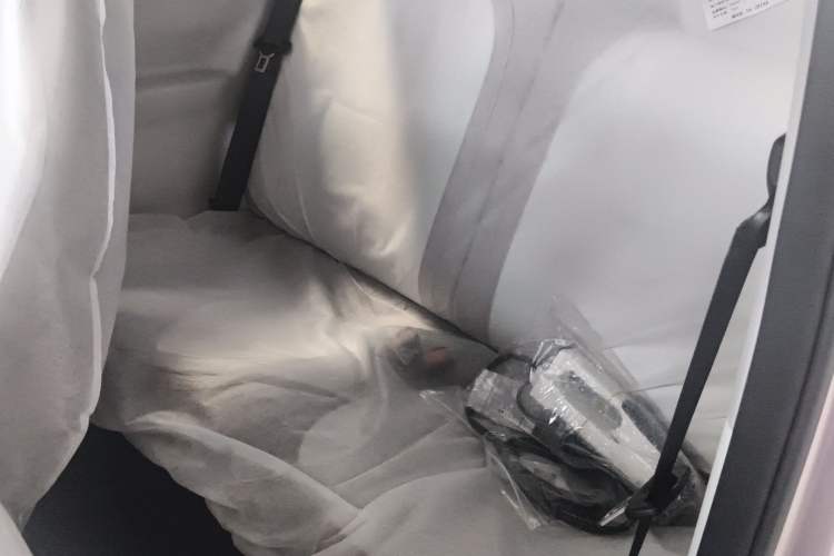 Used Geely Galaxy Panda 2025 210km Panda Kart Interior 1