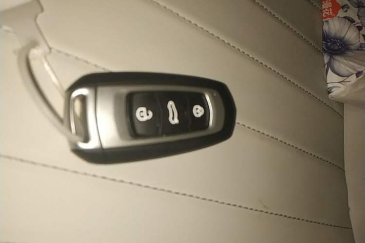 Used Geely Galaxy Panda 2025 210km Panda Rider Vehicle Key