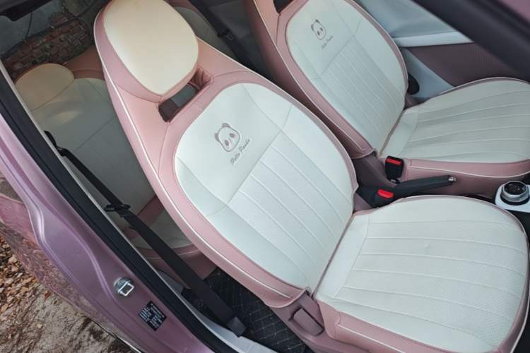Used Geely Galaxy Panda 2025 210 km – Yuanqi Bear Right Front Seat