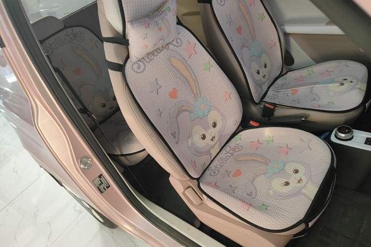 Used Geely Galaxy Panda 2025 210 km – Yuanqi Bear Right Front Seat