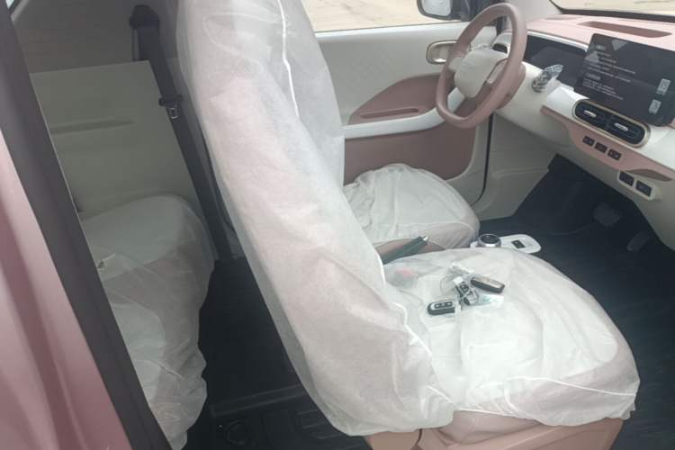 Used Geely Galaxy Panda 2025 210 km – Yuanqi Bear Right Front Seat