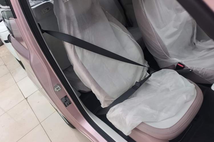 Used Geely Galaxy Panda 2025 210 km – Yuanqi Bear Right Front Seat