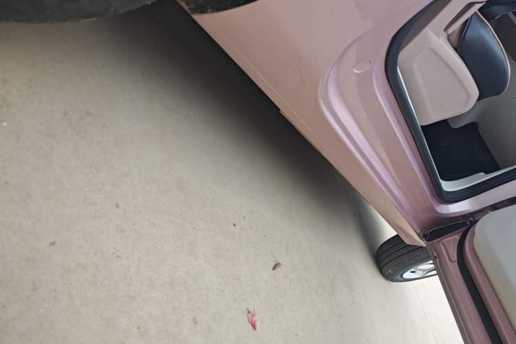 Used Geely Galaxy Panda 2025 210 km – Yuanqi Bear Right Side Sill
