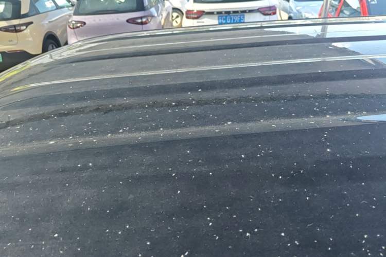Used Geely Galaxy Panda 2025 210km Panda Kart Roof