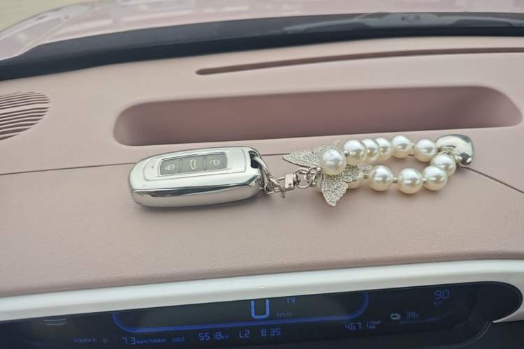 Used Geely Galaxy Panda 2025 210 km – Yuanqi Bear Vehicle Key