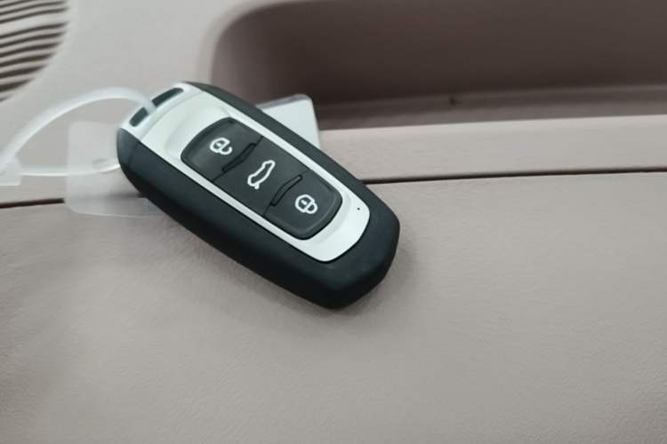 Used Geely Galaxy Panda 2025 210 km – Yuanqi Bear Vehicle Key