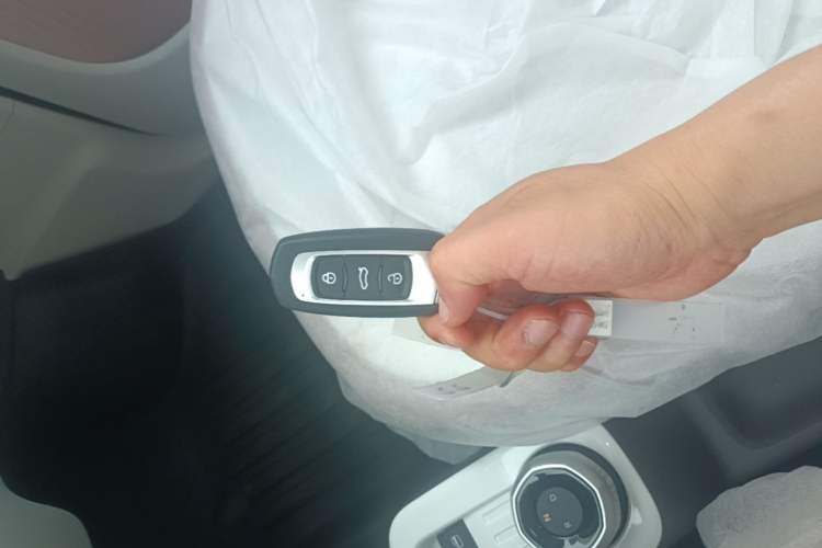 Used Geely Galaxy Panda 2025 210 km – Yuanqi Bear Vehicle Key