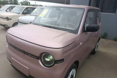 Used Geely Galaxy Panda 2025 210 km – Yuanqi Bear