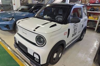 Used Geely Galaxy Panda 2025 210km Panda Kart