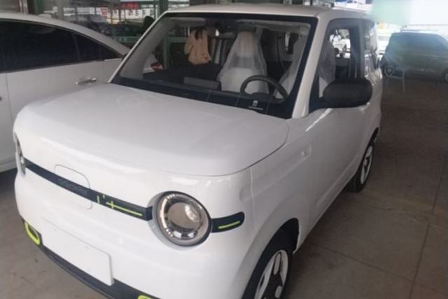 Used Geely Galaxy Panda 2025 210 km – Yuanqi Bear