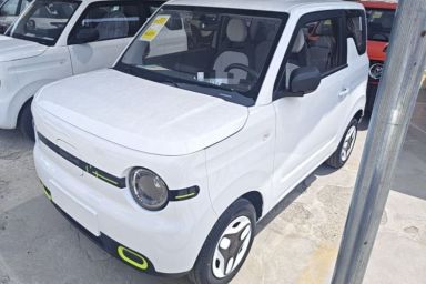 Used Geely Galaxy Panda 2025 210 km – Yuanqi Bear