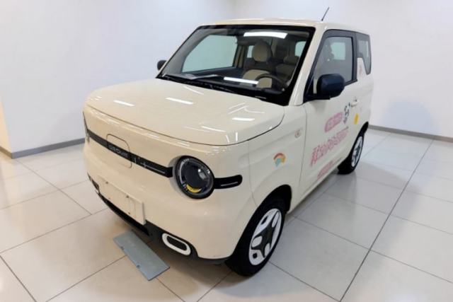 Geely Galaxy Panda 2025 210 km – Yuanqi Bear usado