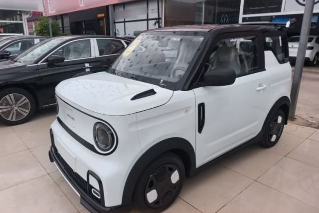Used Geely Galaxy Panda 2025 210km Panda Kart