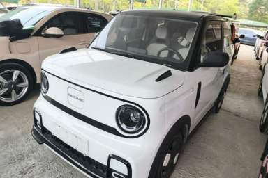 Used Geely Galaxy Panda 2025 210km Panda Kart