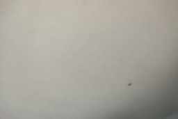 Thumbnail 21