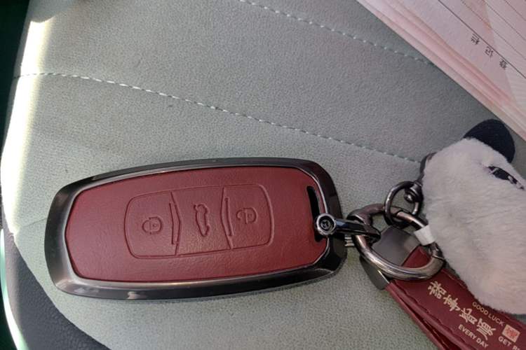 Used Geely Galaxy Panda 2025 210 km – Yuanqi Bear Interior 1