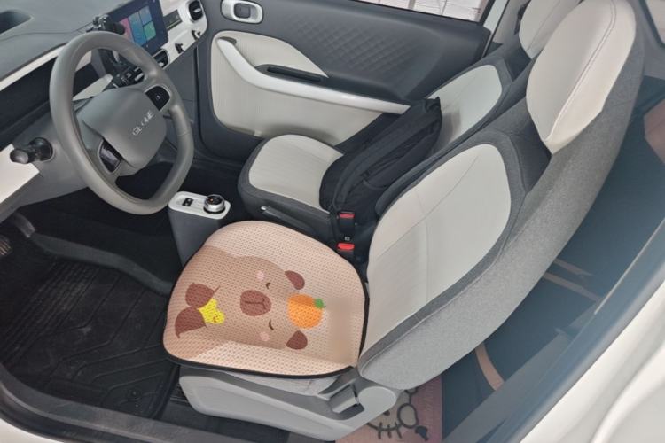 Used Geely Galaxy Panda 2025 210 km – Yuanqi Bear Left Front Seat