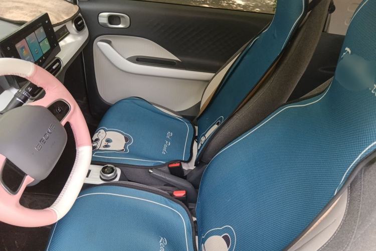 Used Geely Galaxy Panda 2025 210 km – Yuanqi Bear Left Front Seat
